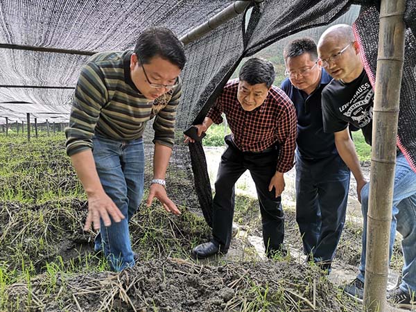 澳港六宝典资料大全