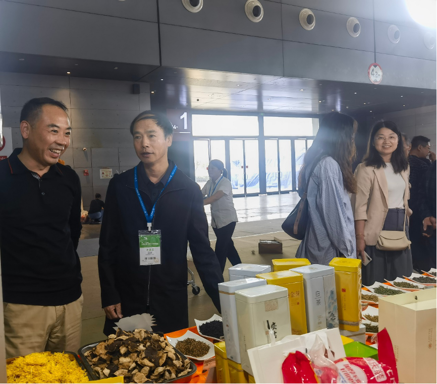 澳港六宝典资料大全