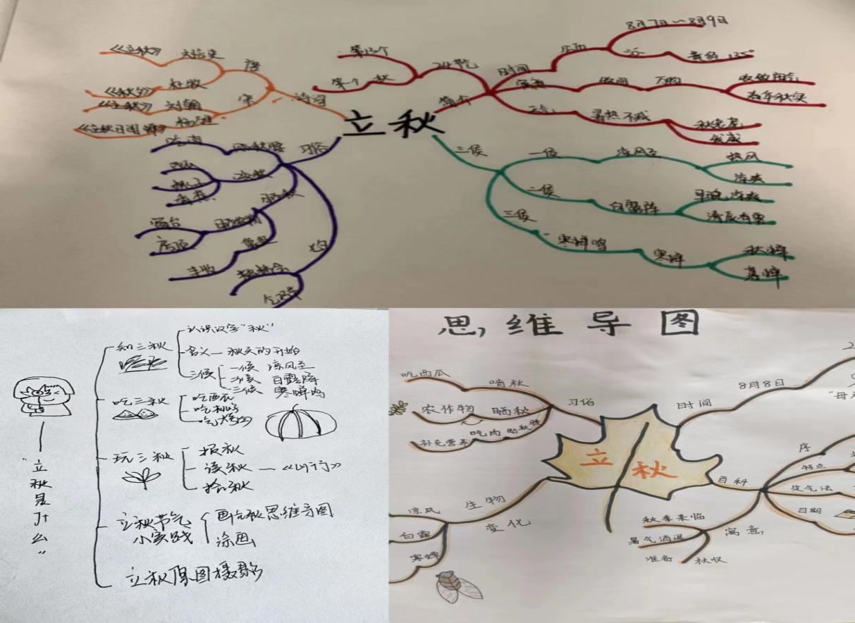 澳港六宝典资料大全